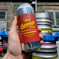 MEADOWS Session Pale